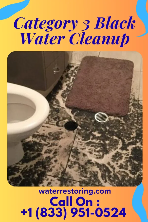 Category 3 Black Water Cleanup in Widener, AR